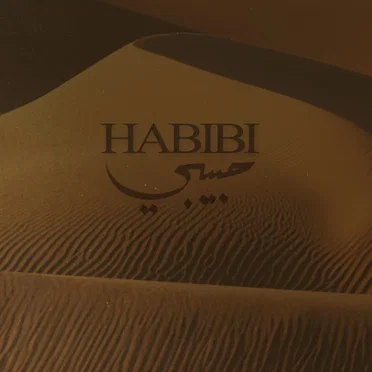 Habibi Metal by Rudy Ayoub - album cover