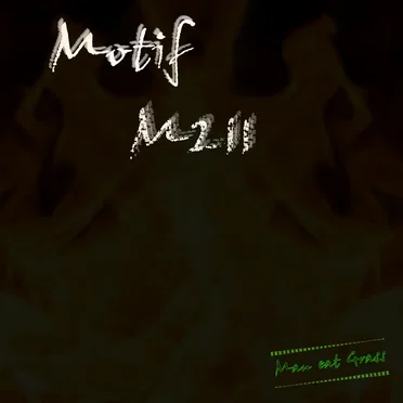 Motif M211