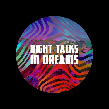 In Dreams by Night Talks - album cover