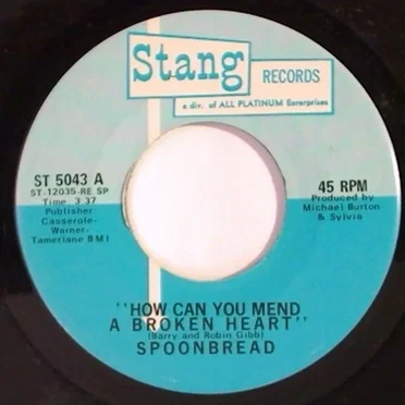 How Can You Mend a Broken Heart / I'm the One by Spoonbread - album cover