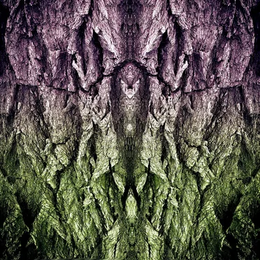 Mixtape 002 (All Original Full Set) 2019 by DRRTYWULVZ - album cover