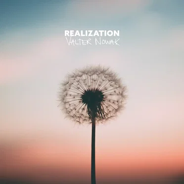 Realization