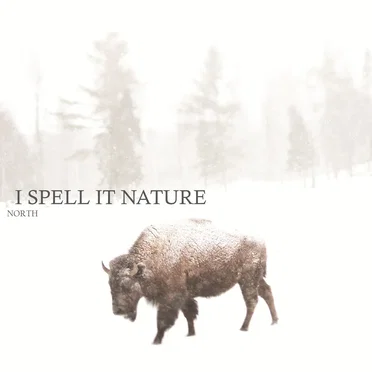 NORTH by I Spell It Nature - album cover