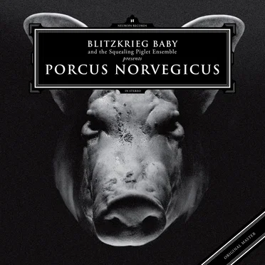 Porcus Norvegicus