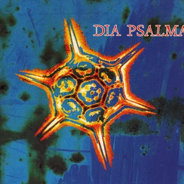 Efter allt by Dia Psalma - album cover