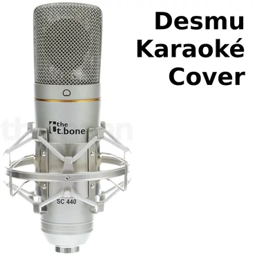 Desmu Karaoké Cover