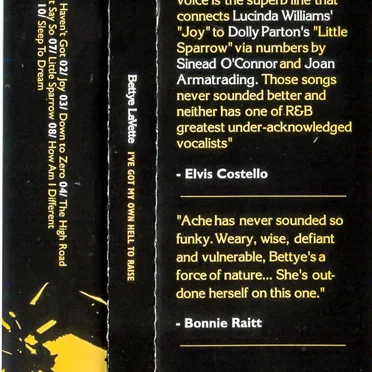 I’ve Got My Own Hell to Raise