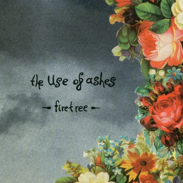 The Use of Ashes