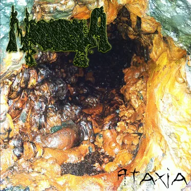 Ataxia by Naegleria Fowleri - album cover