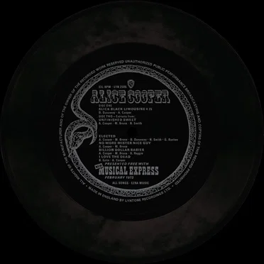 Slick Black Limousine