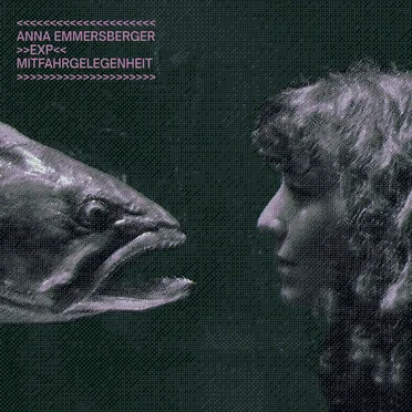 Mitfahrgelegenheit by Anna Emmersberger EXP - album cover