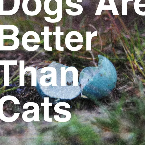 Dogs Are Better Than Cats