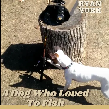 A Dog Who Loved to Fish
