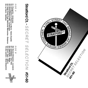 Secret Selection #51-60 by Various Artists - album cover