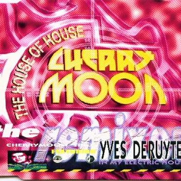 In My Electric House (The Remixes)