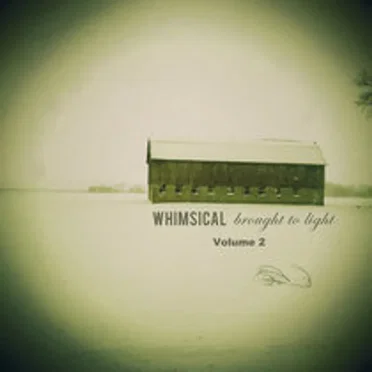 Brought to Light - Volume 2 by Whimsical - album cover