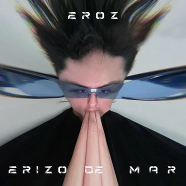 Erizo de Mar by EROZ - album cover