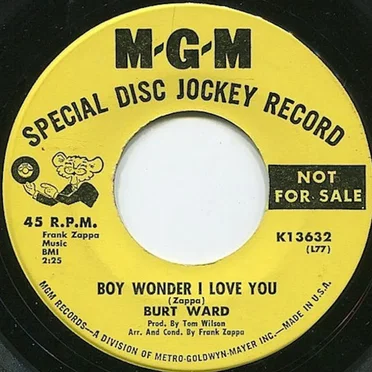 Boy Wonder I Love You / Oranged Colored Sky