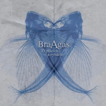 O ptácích a rybách by BraAgas - album cover