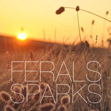 Sparks by Ferals - album cover