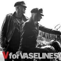 The Vaselines artist image