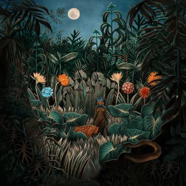 Tropikoro by Paces Lift - album cover