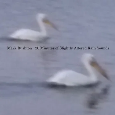 20 Minutes of Slightly Altered Rain Sounds