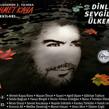 Dinle Sevgili Ülkem by Various Artists - album cover