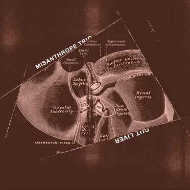 Gut Liver by Misanthrope Trio - album cover