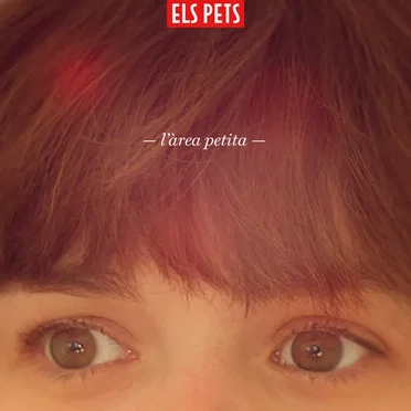 L'àrea petita