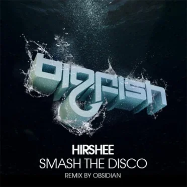 Smash the Disco