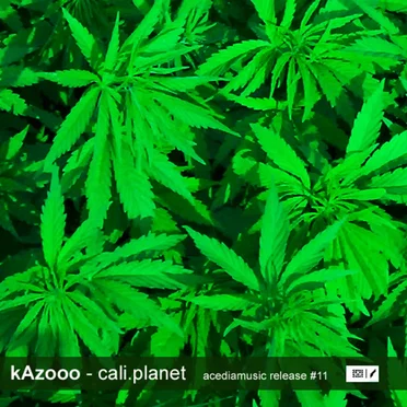 Kali Planet EP by kAzooo - album cover