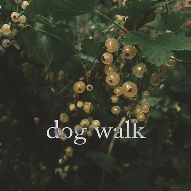 Dog Walk