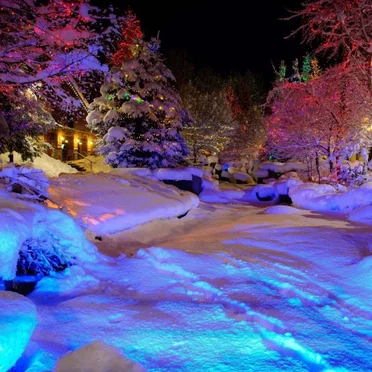 CHRISTMAS EUPHORIA