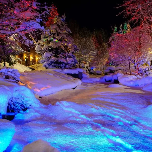 CHRISTMAS EUPHORIA