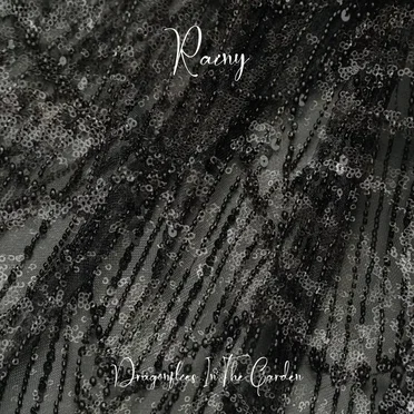 Rainy by DRAGONFLIES IN THE GARDEN - album cover