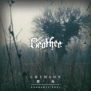 CRIMSON/紫苑 Acoustic Ver. by Brother - album cover