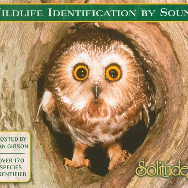 Wildlife Identification by Sound
