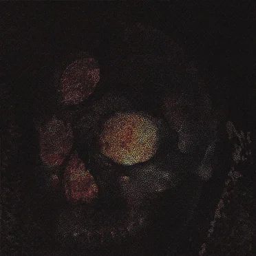 trepan by Vanfleet - album cover