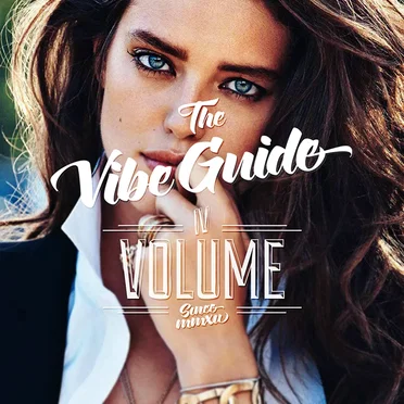 The Vibe Guide, Volume 4 by Various Artists - album cover