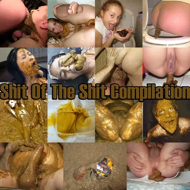 The Shit of the Shit Compilaton by Various Artists - album cover