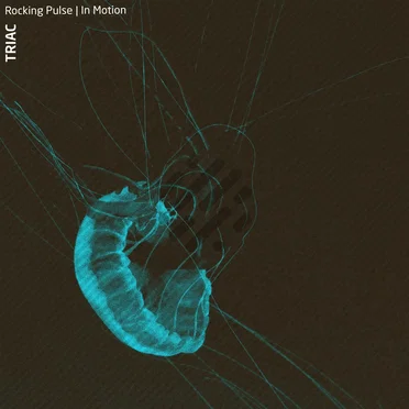 In Motion by Triac - album cover