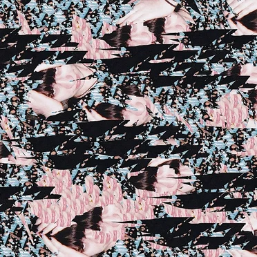 Vampire Weakened by Daido Loori - album cover