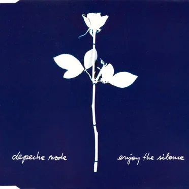 Enjoy the Silence