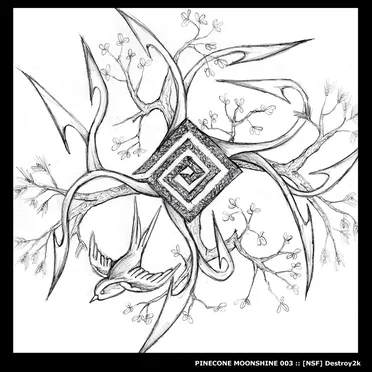 Soul Cooper / Soundbwoy by NSF Destroy2k - album cover