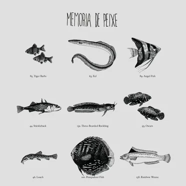 Memória de Peixe by Memória de Peixe - album cover