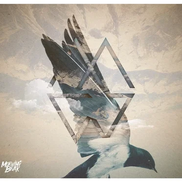 Take Flight by Morning Bear - album cover