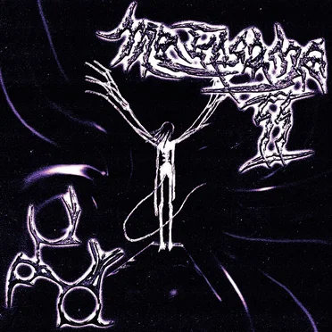 Me Insane II by Fogppl - album cover