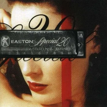Special 20 by Tim Easton - album cover