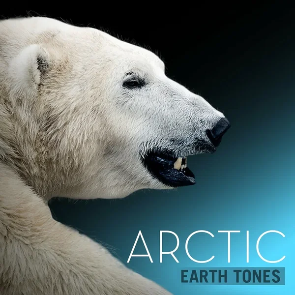 Arctic